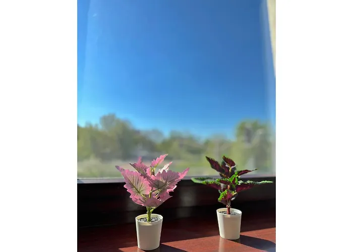 Privatunterkunft Gamma 10 Min To Old Town *